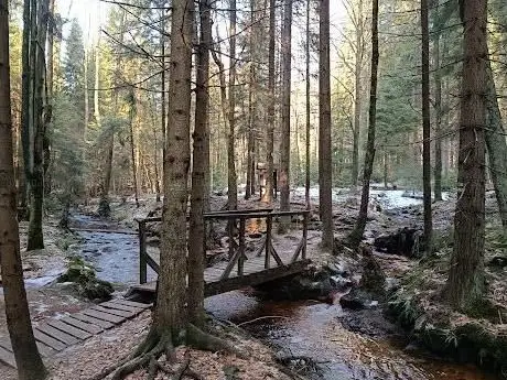 Photo de Sirný pramen