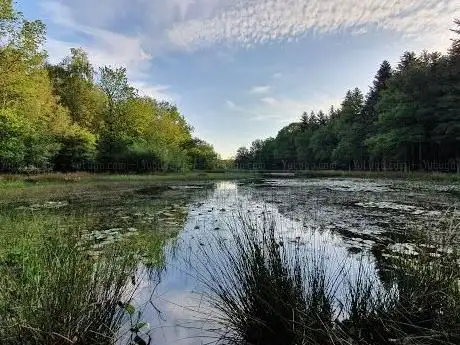 Photo de Sleenerzand