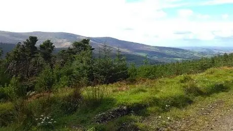 Kilbrannish Recreational Forest