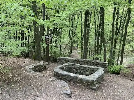 Photo de Amandusbrunnen