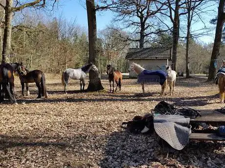 Photo de Equievent