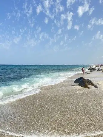 Photo de Restinga plage
