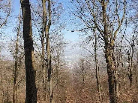 Photo de Ruine Schanzenköpfle