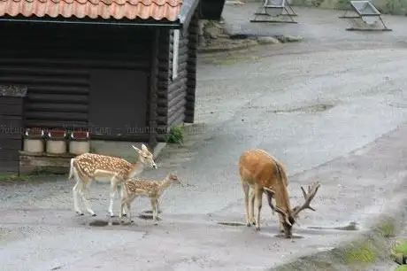 Photo de The Children's Zoo