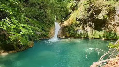 Photo de Nacedero del Urederra