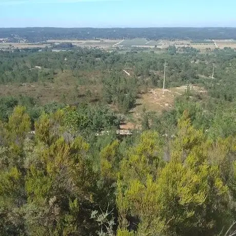 Photo de Baloiço dos Gagos