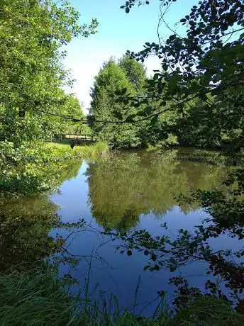 Photo de Parco del Bosco Acqualunga