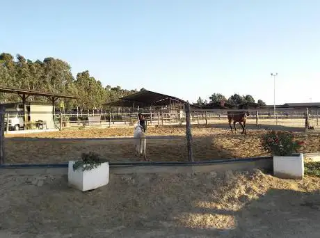 Photo de A.s.d. A Cavallo Con Te