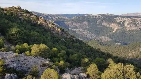 Photo de Puerto del Tejo