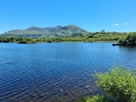 Photo de Killarney Lake Tours