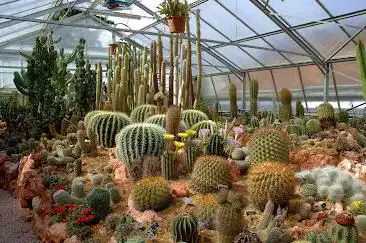 Photo de JURASSICA Jardin Botanique (serres)