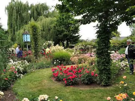 Photo de Rosarium Luc Van Esser