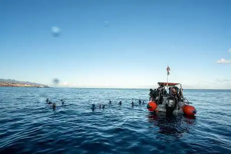 Photo de Apnea Life Tenerife - Freediving school