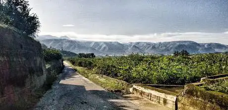 Photo de Camino Natural de l'Antic Trenet