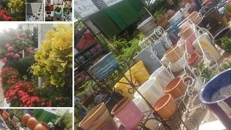 Photo de COOL BREEZE FLOWERS - POTS - LANDSCAPING- GARDEN SERVICES LTD