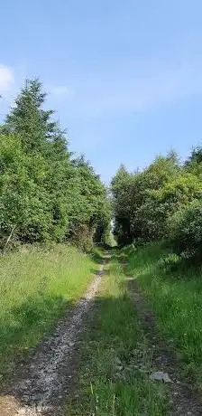 Ballycastle Forest