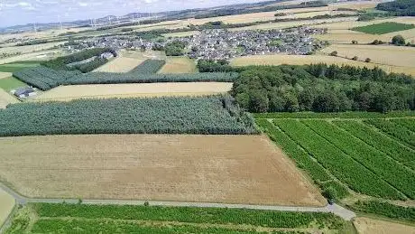 Photo de Tannenhof Schneiders GmbH & Co. KG