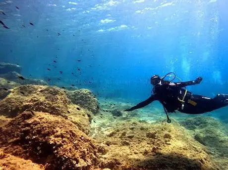 Photo de Draulik Diving Center