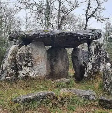 Photo de Dolmen Paussac