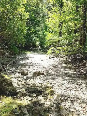 Photo de Parc De Jouvence