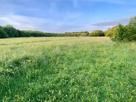 Photo de Upton Meadow (Woodland Trust)
