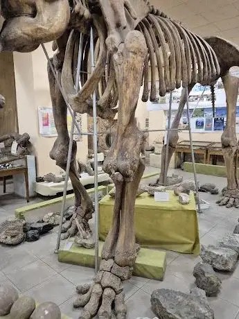 Photo de Musée de géologie Karapétian