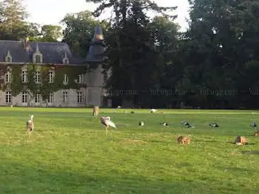 Photo de Récréatiloups