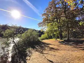 Photo de Rihoult Clairmarais Forest