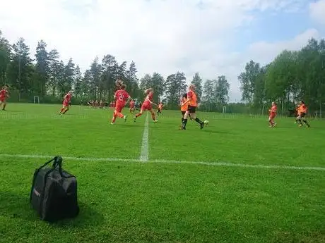 Photo de Madesjö If