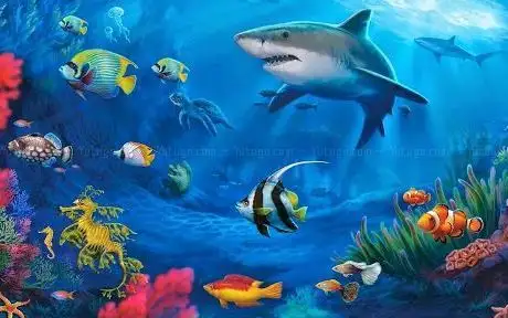 Photo de Red Sea Aquarium