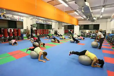 Photo de Palestra Culture