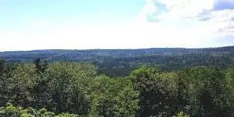 Photo de Northumberland County Forest