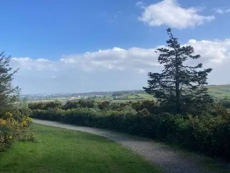 Rathmichael Wood