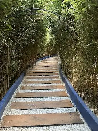 Photo de Neşet Ertaş Türkü Bahçası (Bahçesi)