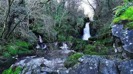 The Devils Glen Forest