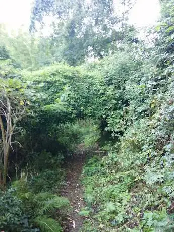 Photo de Bosco di Foragnano
