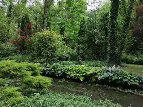 Photo de arboretum d'Ilex Garden