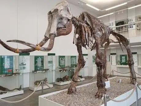 Photo de Spengler-Museum