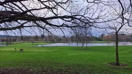 Photo de Cahir Park Forest Recreational Area