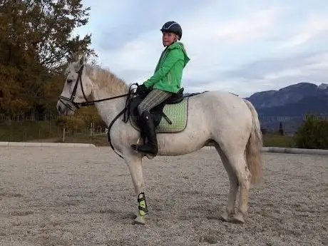 Photo de 1.Ponyclub Bad Mitterndorf Horse Riding Club