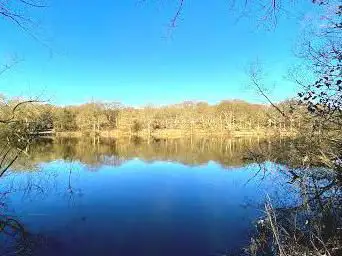 Photo de Thorndon Country Park South