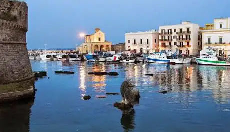 Photo de Gallipoli Online