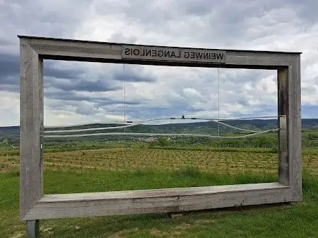 Photo de Riedenportrait am WEINWEG Langenlois