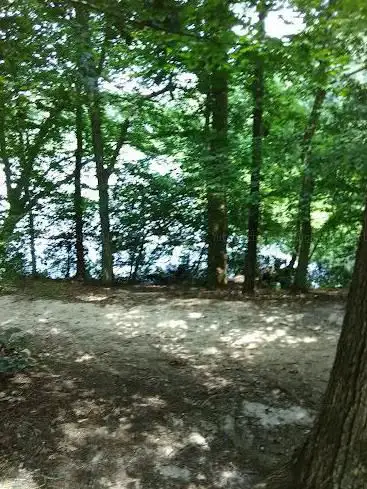 Photo de Killens Pond State Park Nature Center