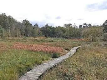 Photo de Étang soubran