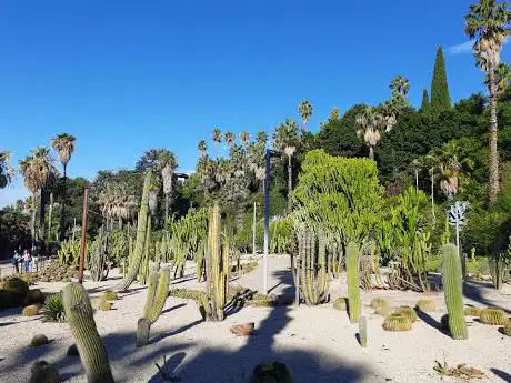 Photo de Jardines Mossèn Costa i Llobera