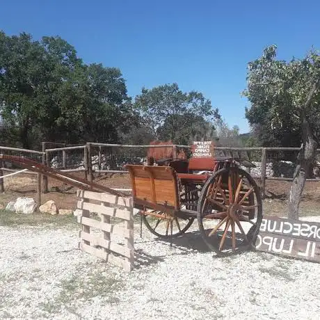 Photo de Maneggio horse club il lupo