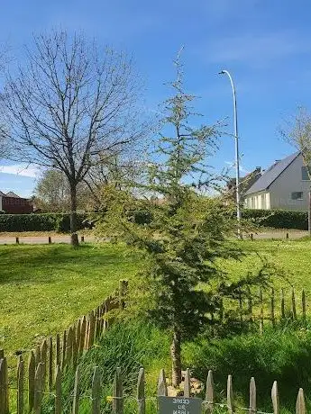 Photo de Parc de Casablanca
