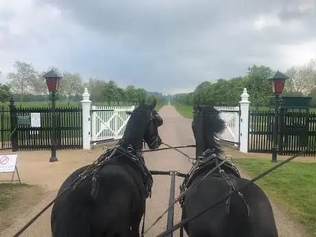 Photo de Windsor Carriages