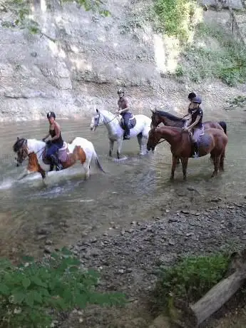 Photo de Manège Clos-de-l'Å’uf (équitation)